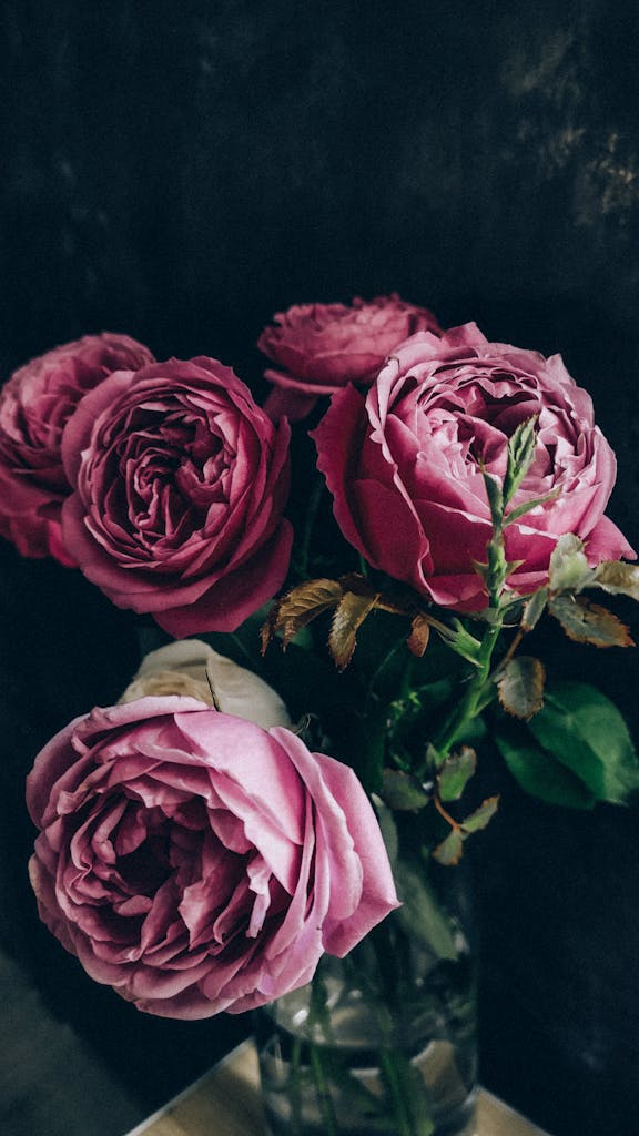 A vibrant arrangement of fresh pink roses in a glass vase, perfect for romantic settings.